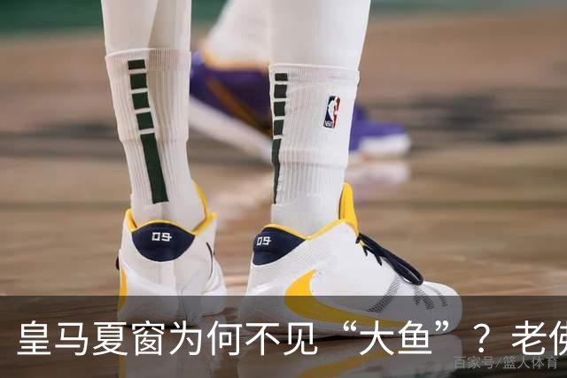 皇马夏窗为何不见“大鱼”？老佛爷按兵不动，罗德里或压轴加盟
