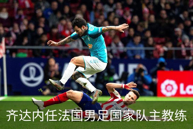 齐达内任法国男足国家队主教练
